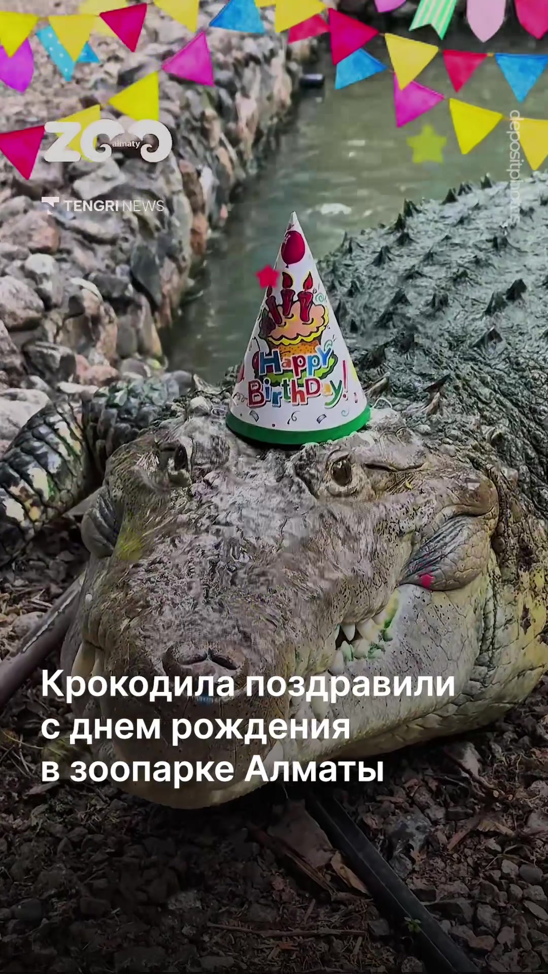 @Tengrinews.kz