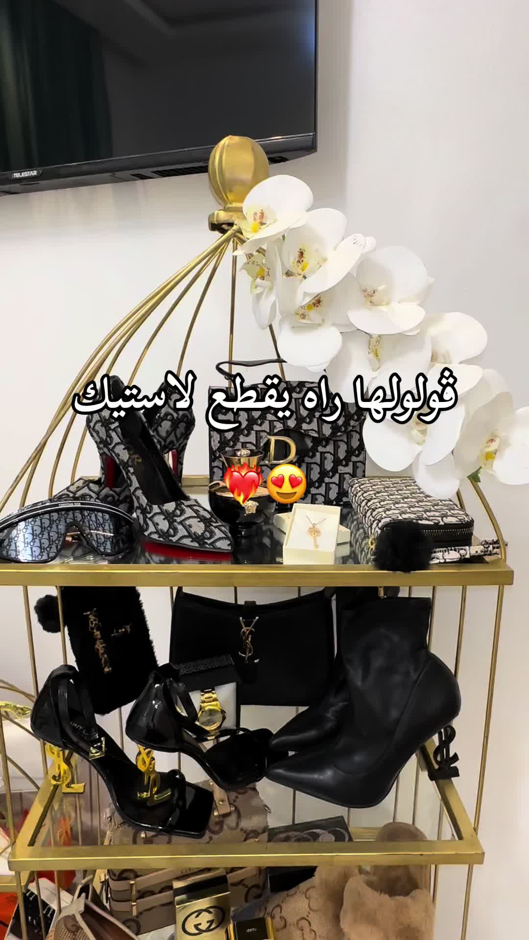 @valise_luxe_25