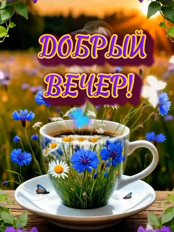 @Деревенская бабушка
