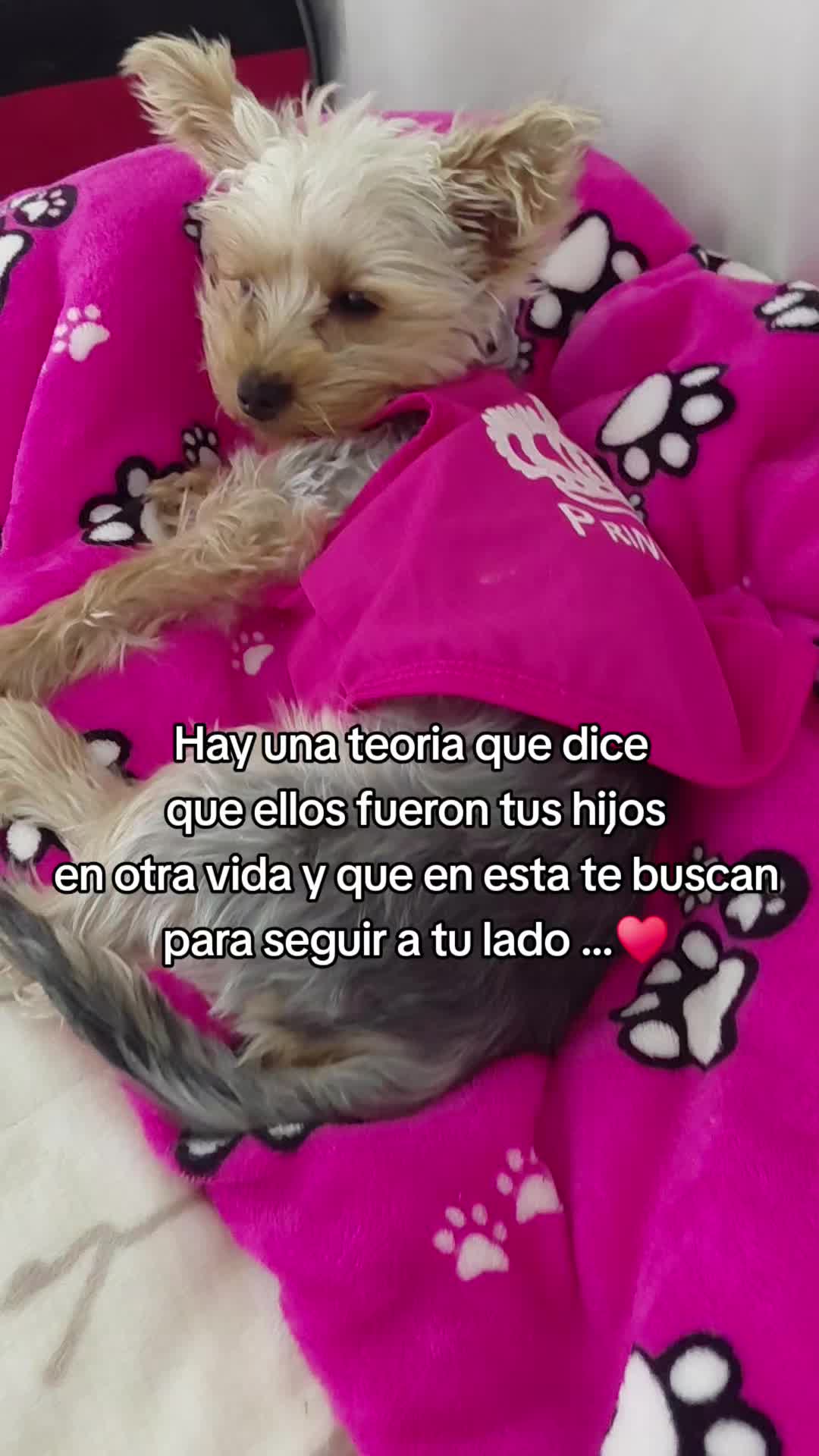 @Maria Minerva Sarabi