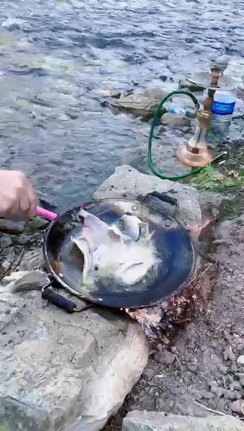 @bykurdom