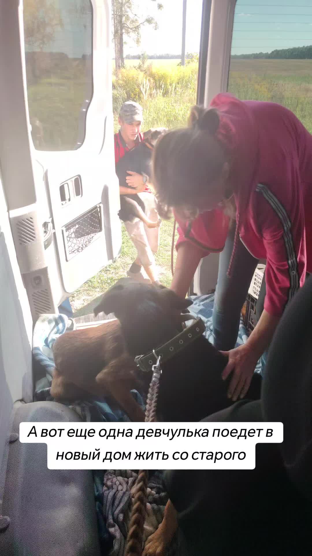 @Передержка «Лёнин рай» 🐶🦮