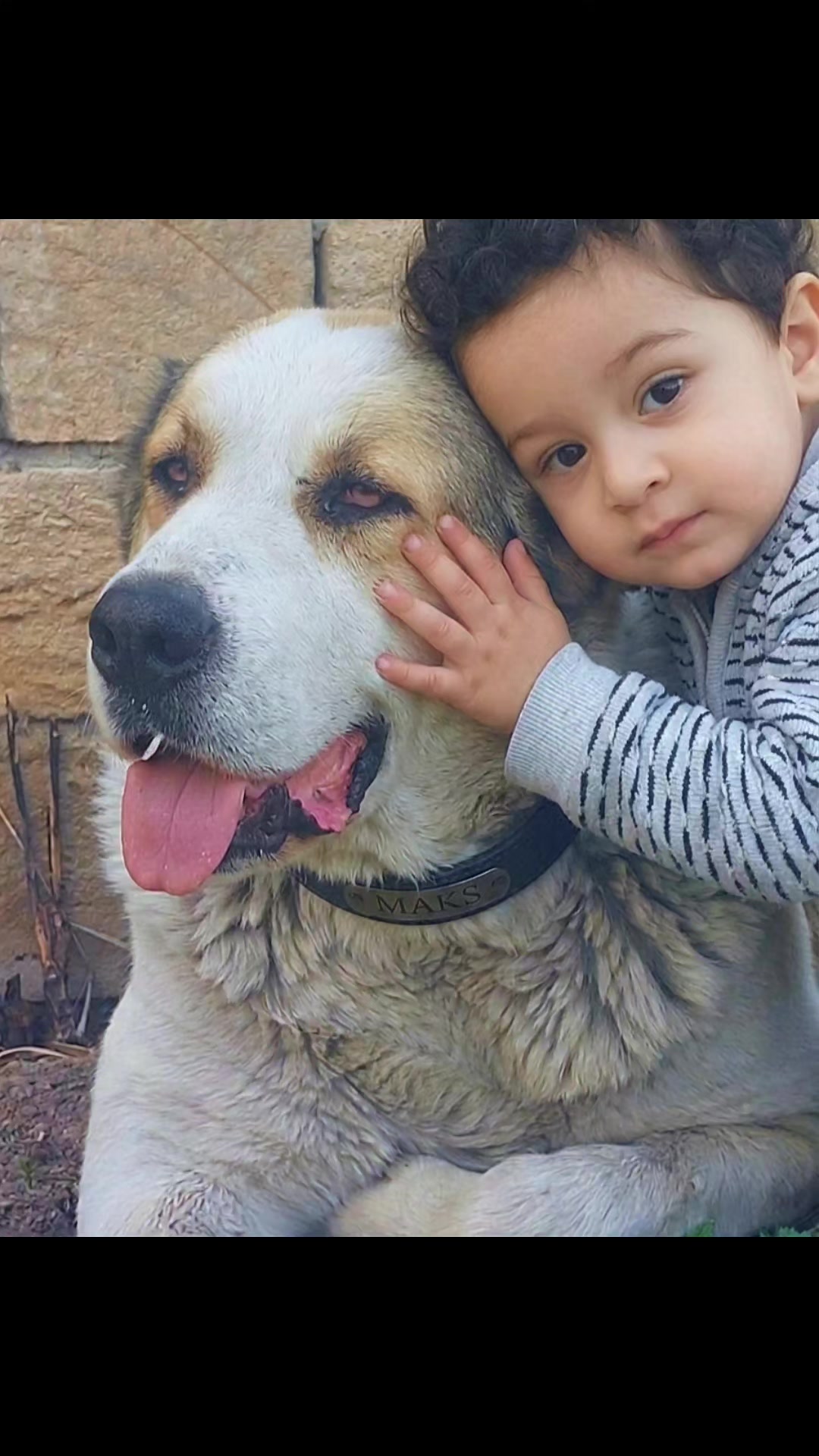 @Elşad__007