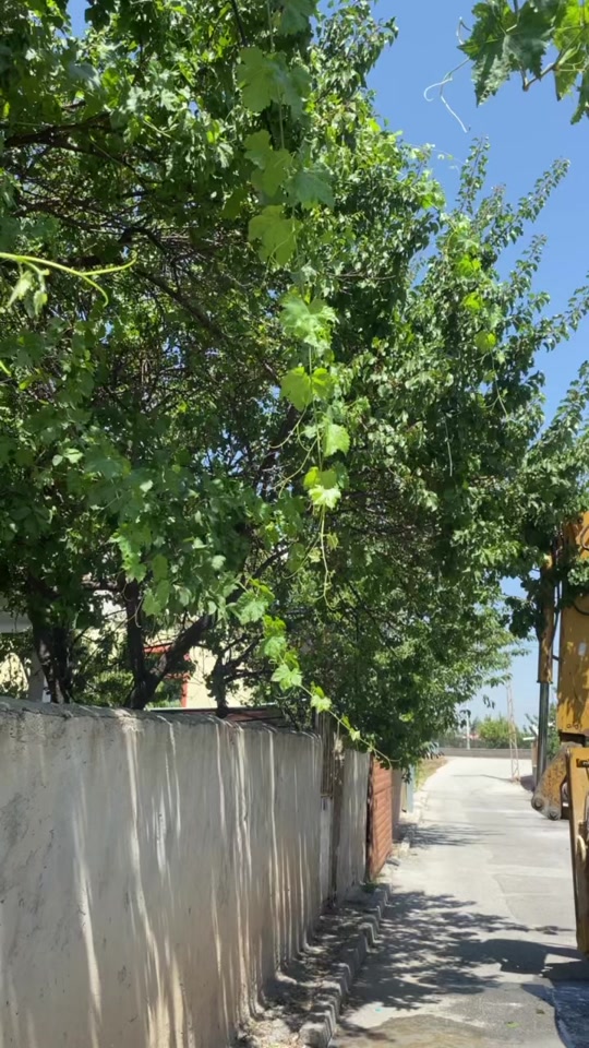 @sürekci.432