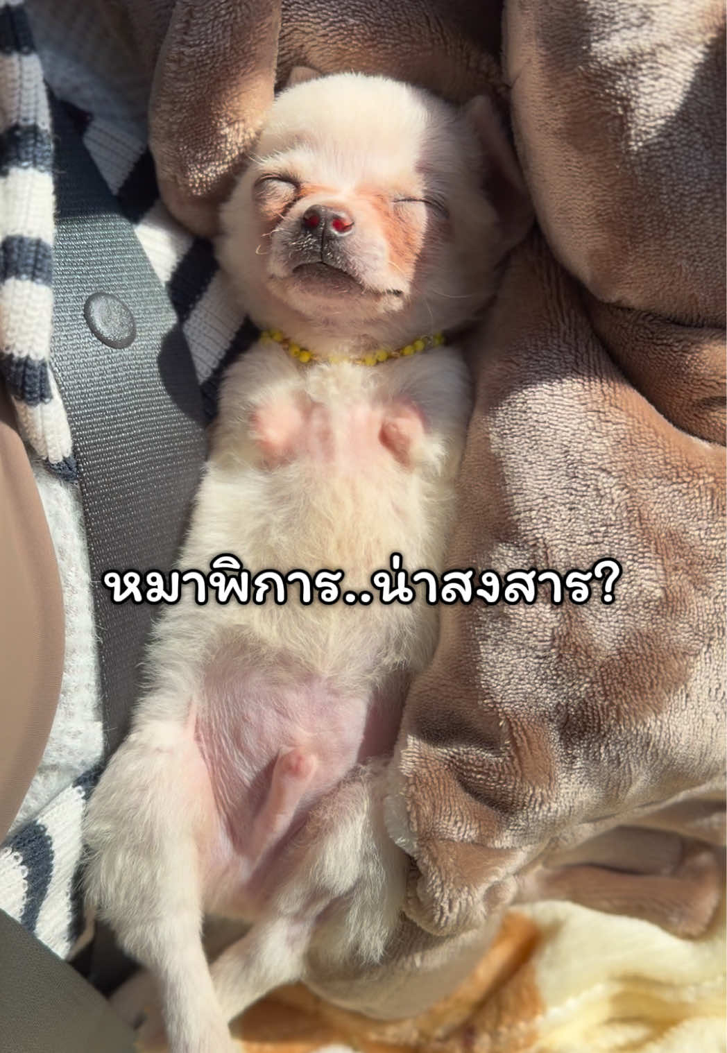 @ผมชื่อเฟิร์บ