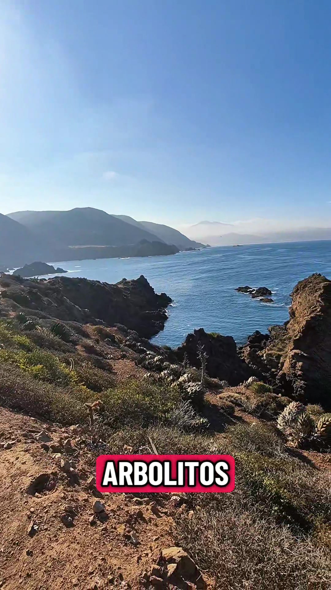 @Alex el Pescador🔥