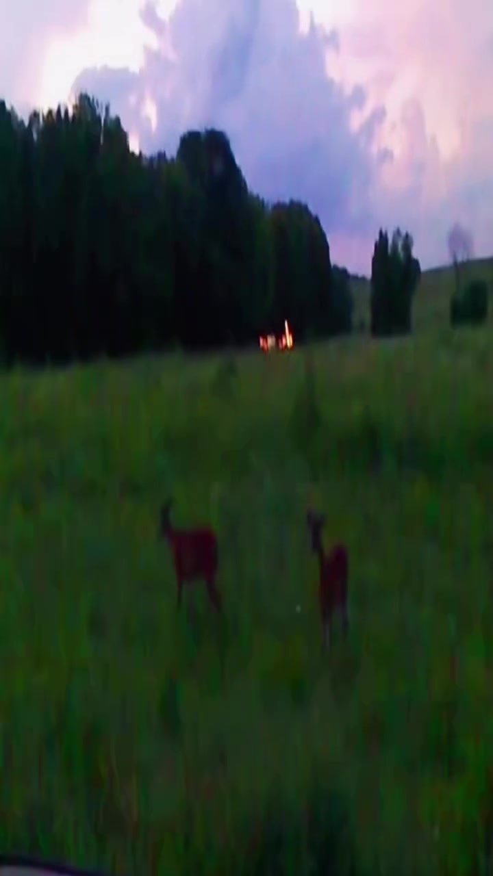@мэршмуша