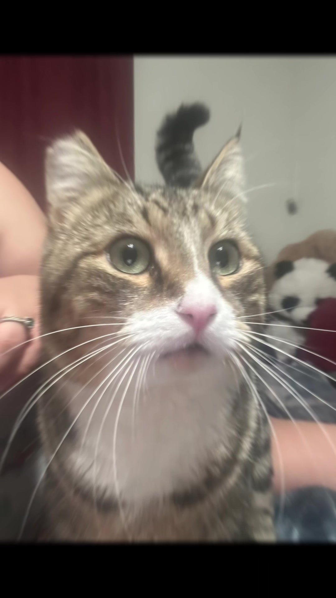 @FosterAngels