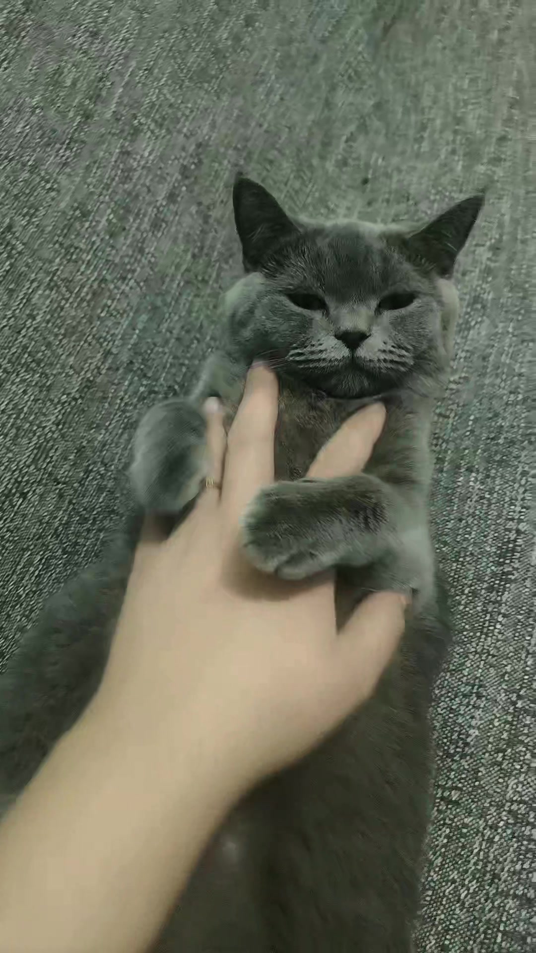 @MiyaAa 🐾