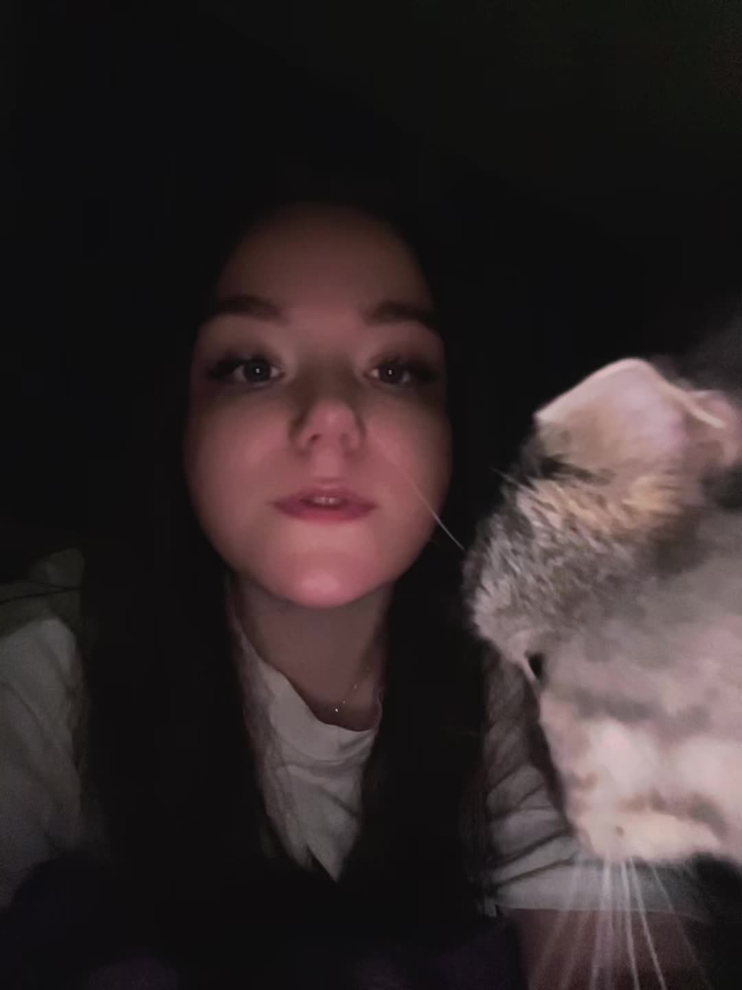 @Cceeeh
