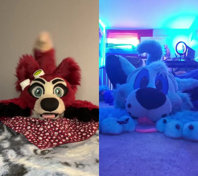 @🦊 Pete The Fox 🦊