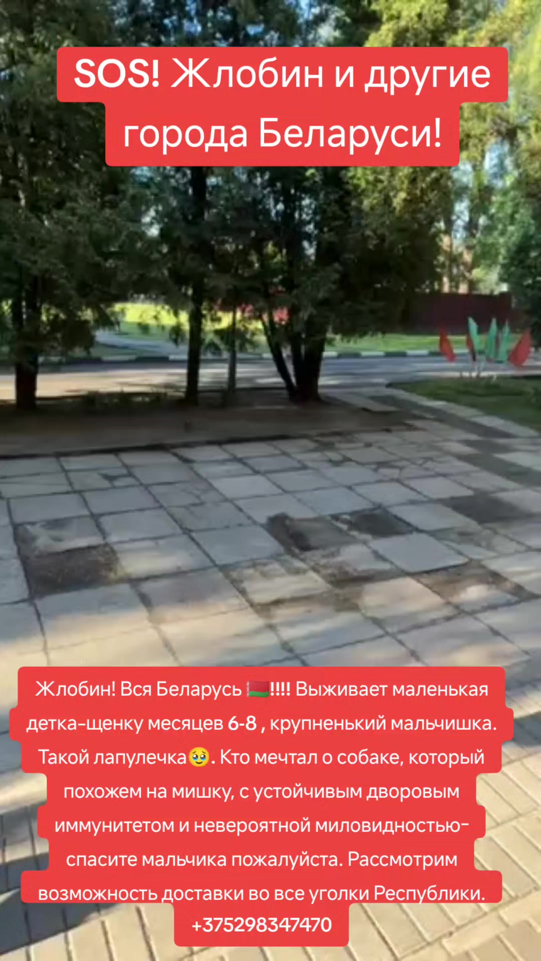 @Светлана Козлова