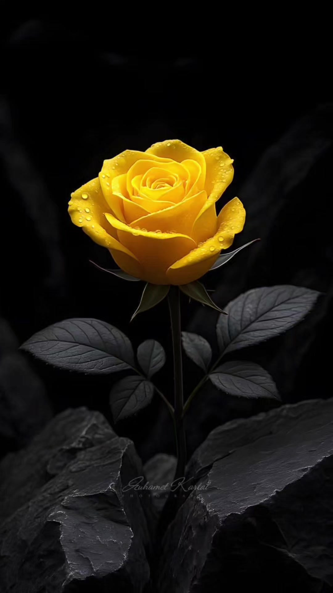 @@Lucy