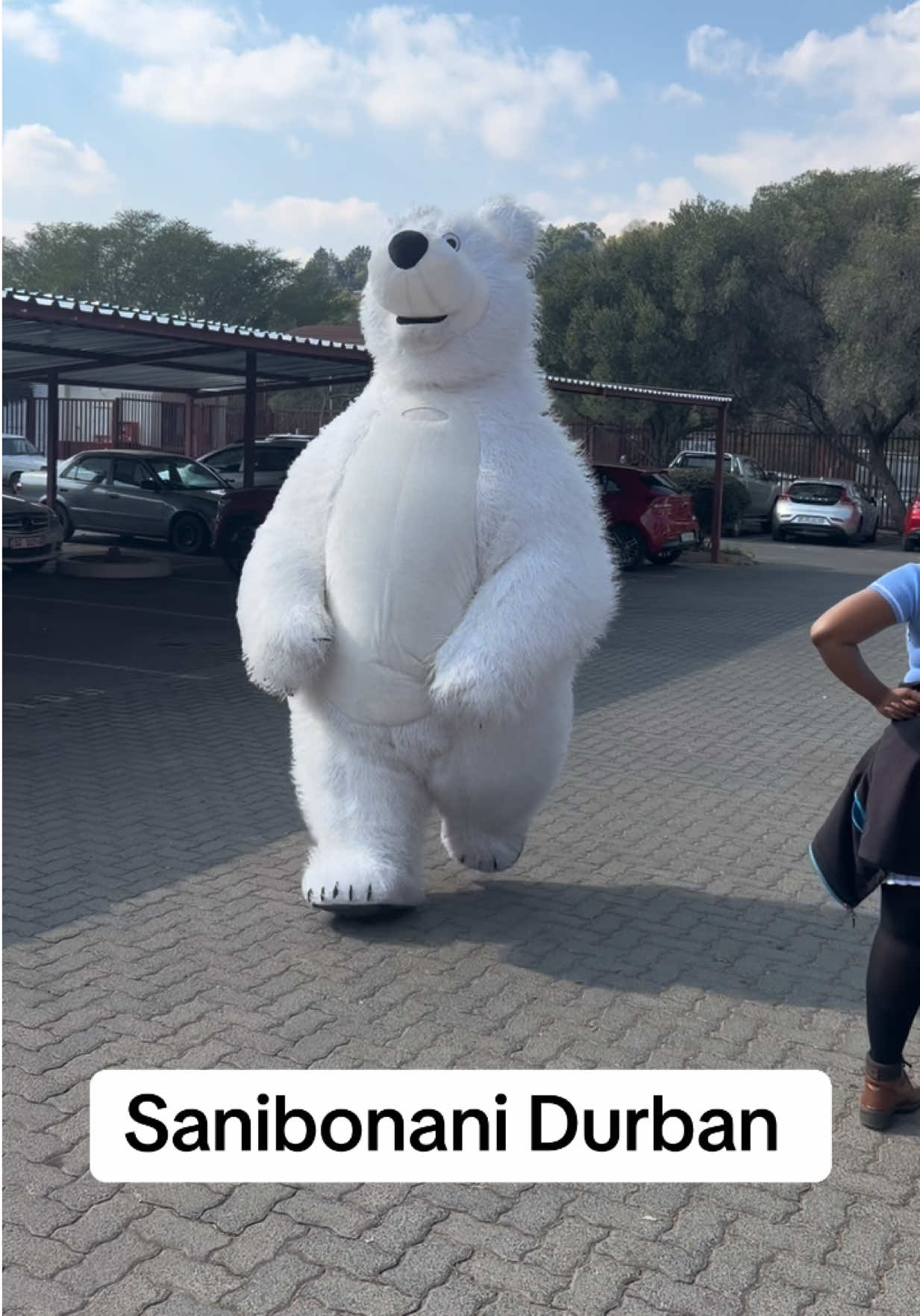 @dancingmascotssa