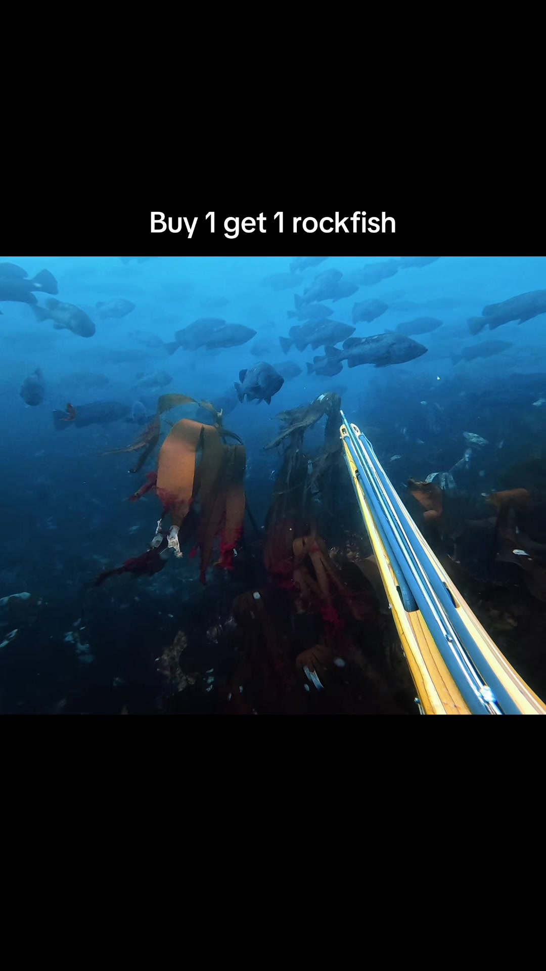 @BigWaterGuy