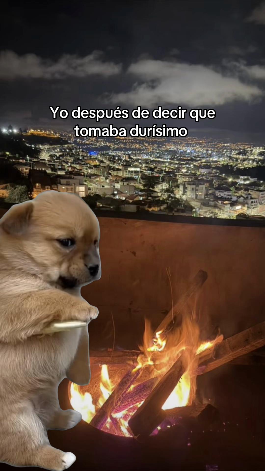 @Guadalupe🦋