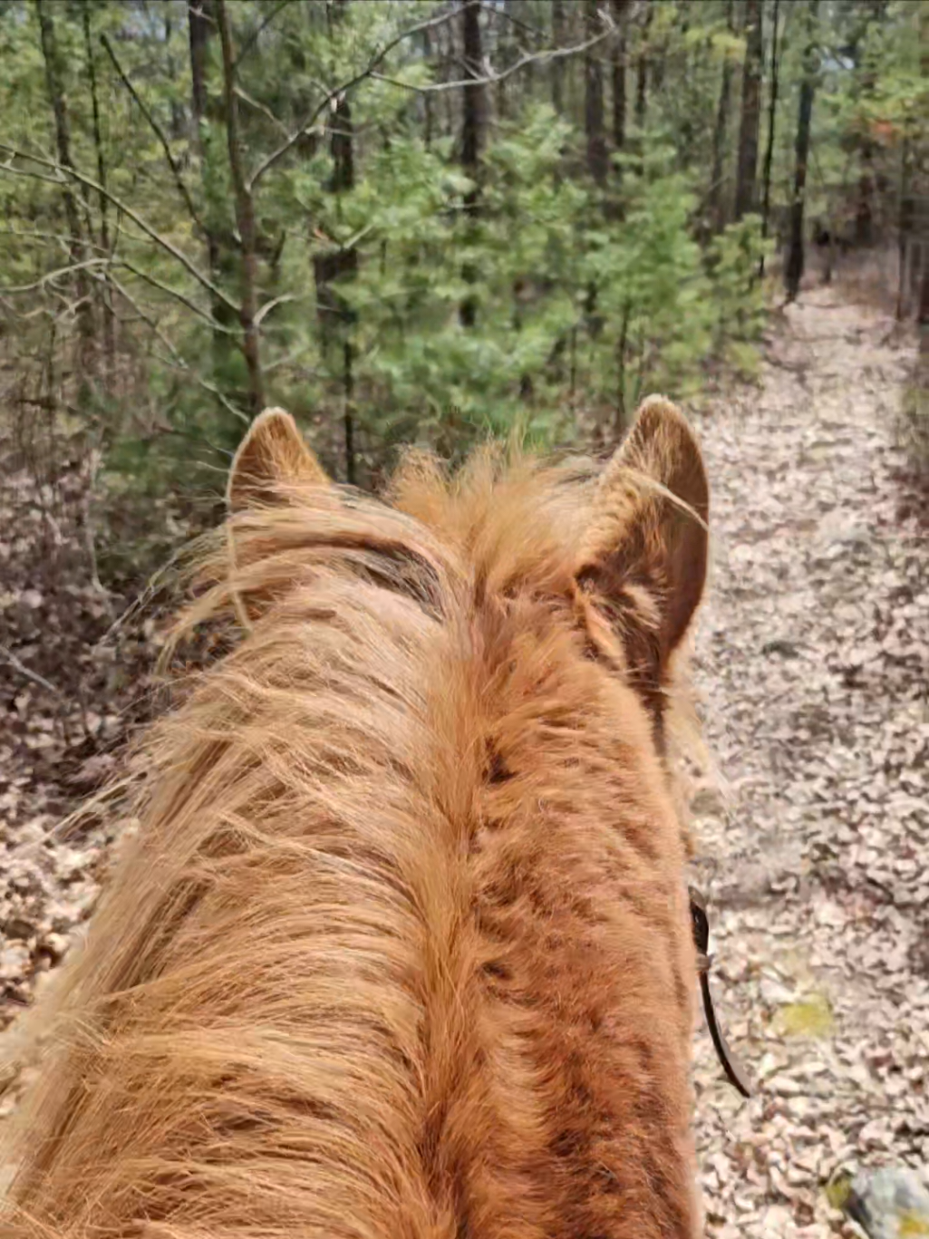 @Beth - Epona Media