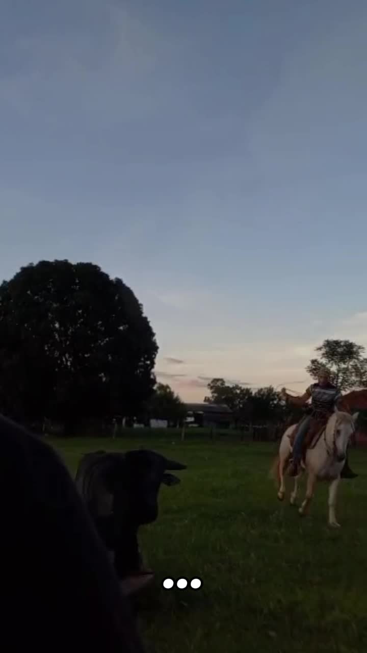 @EDSON.BENEVIDES🤠🍃