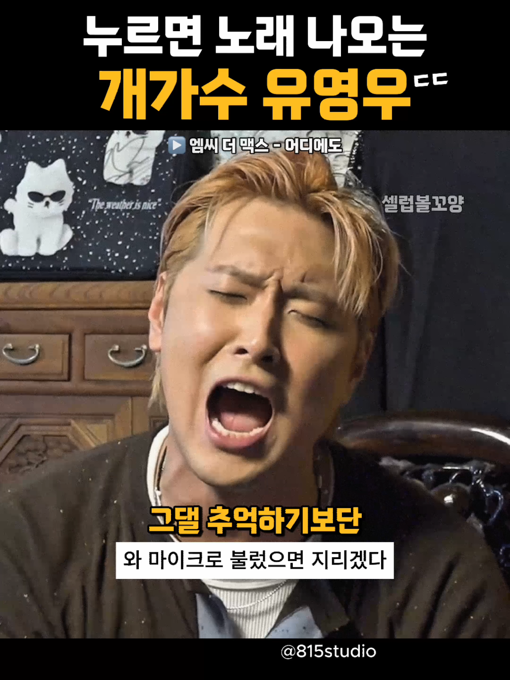 @셀럽볼꼬양