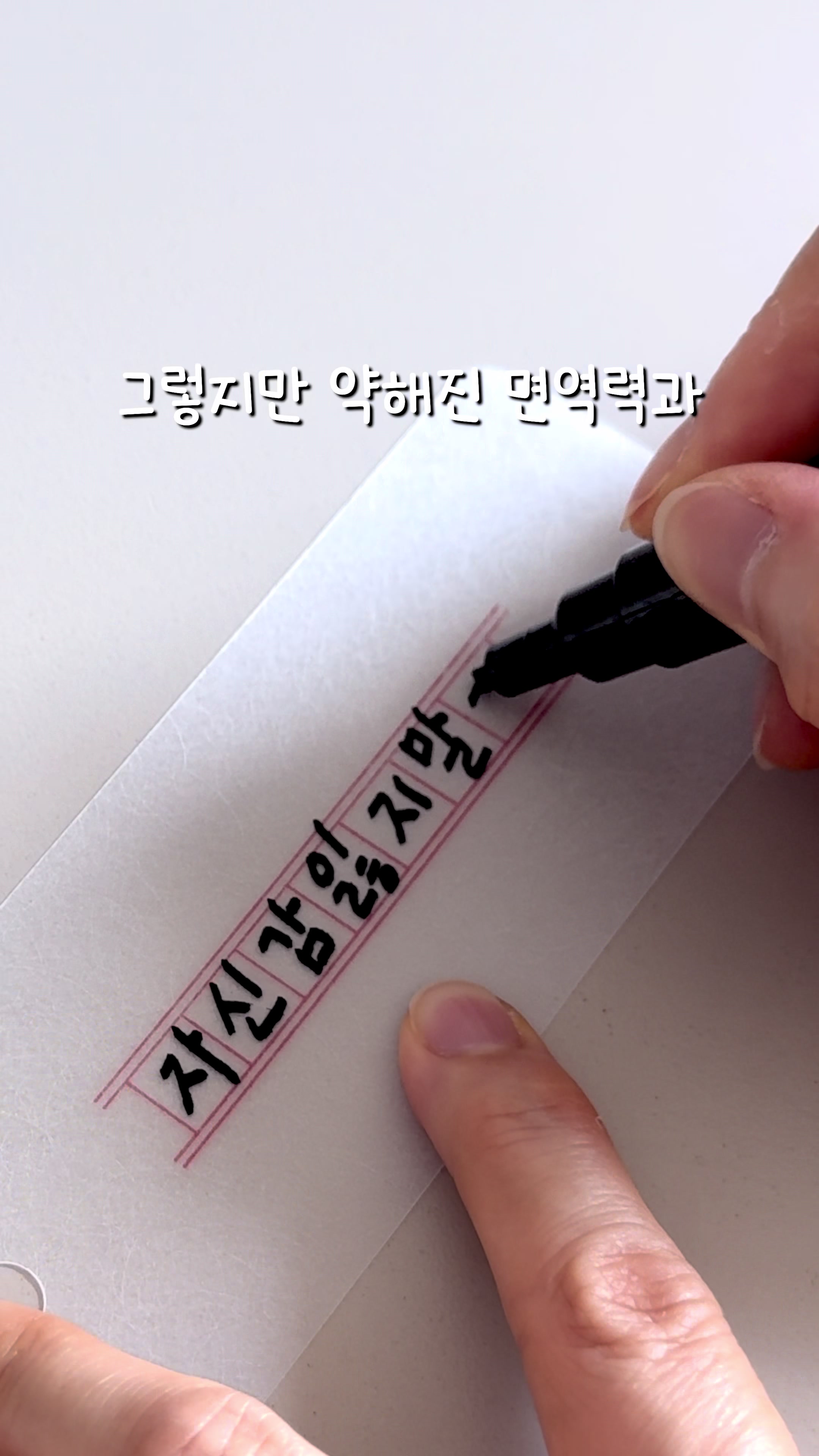 @이느낌 작가ㅣ이느낌 꽃과캘리