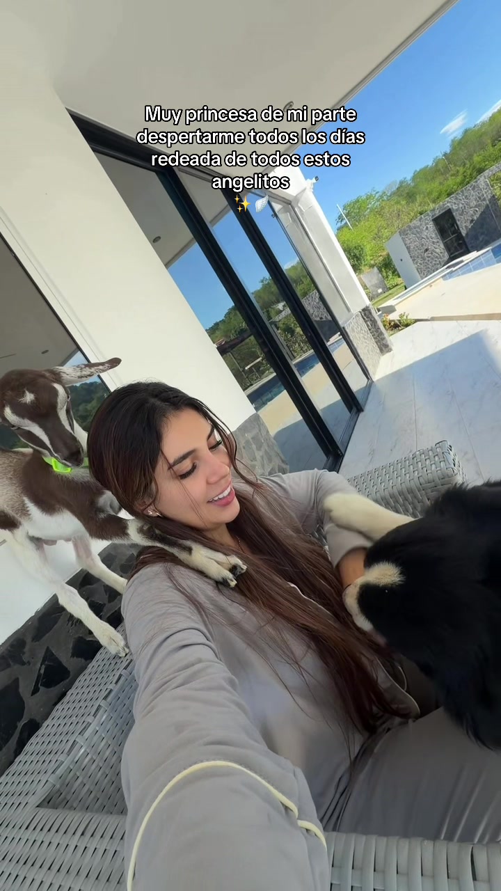 @🤍🐮 Allison Hernández 🐮🤍