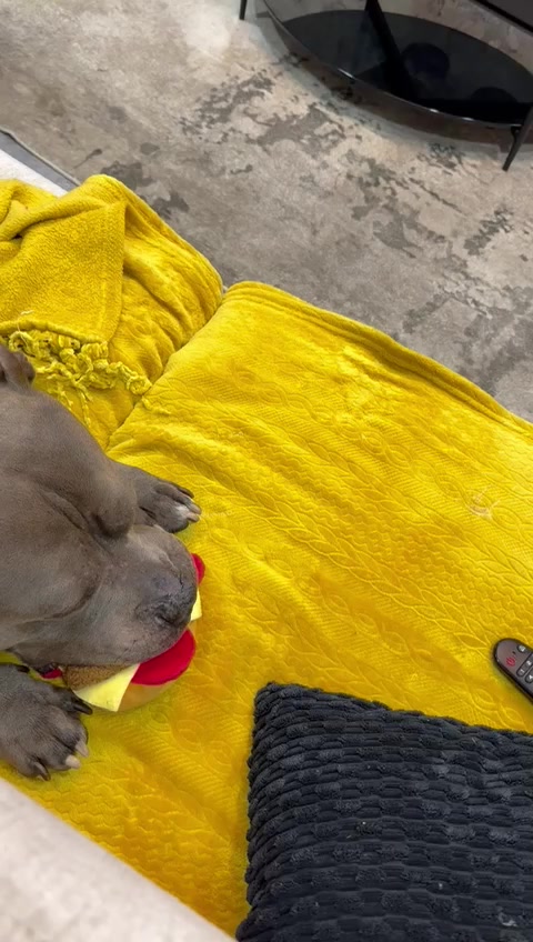 @Moncho_na_na