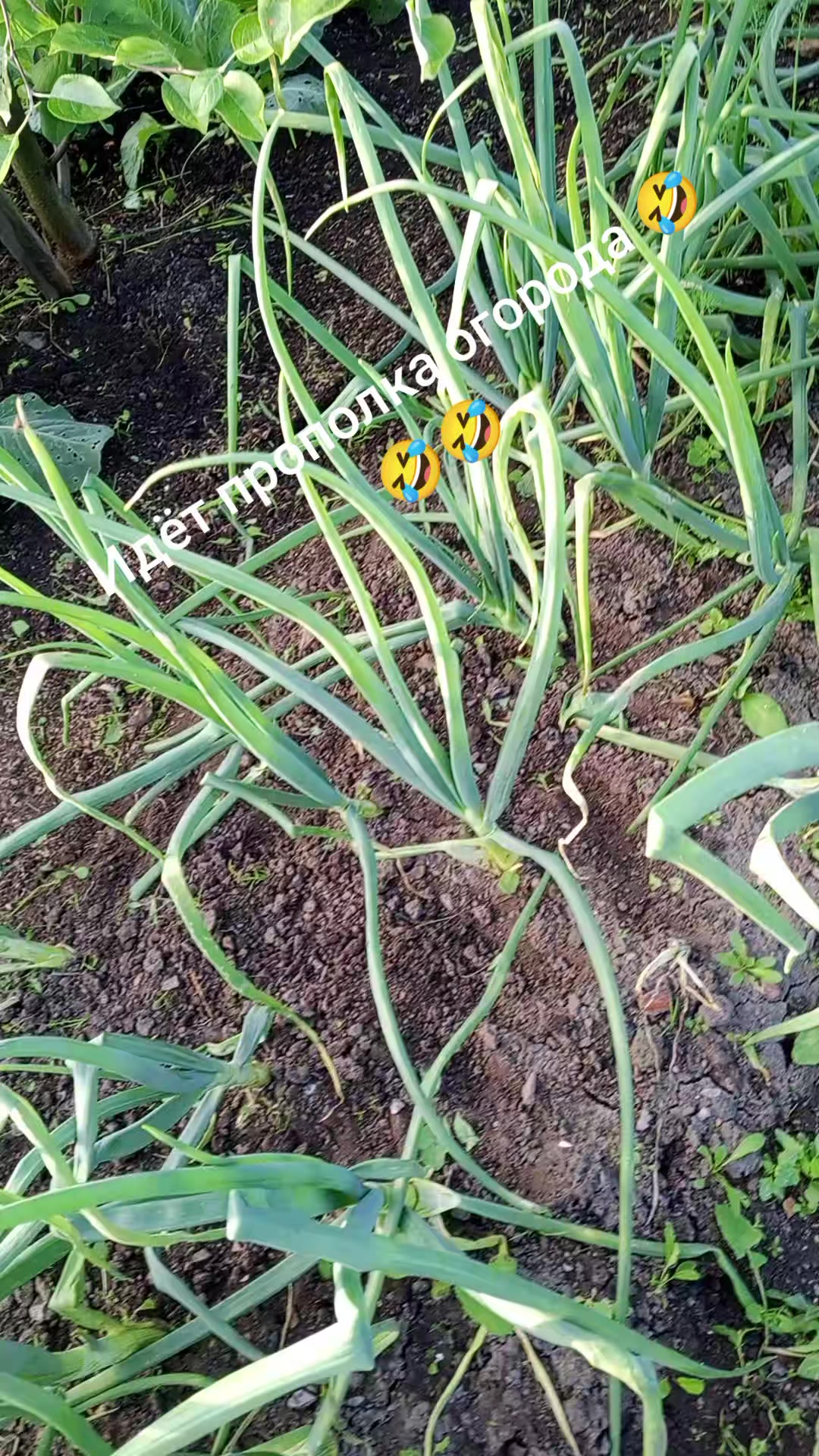 @Натали 🥰🥰🥰🥰☑️☑️☑️