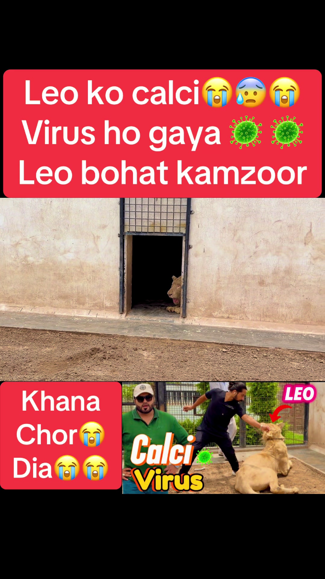 @Mian saqib