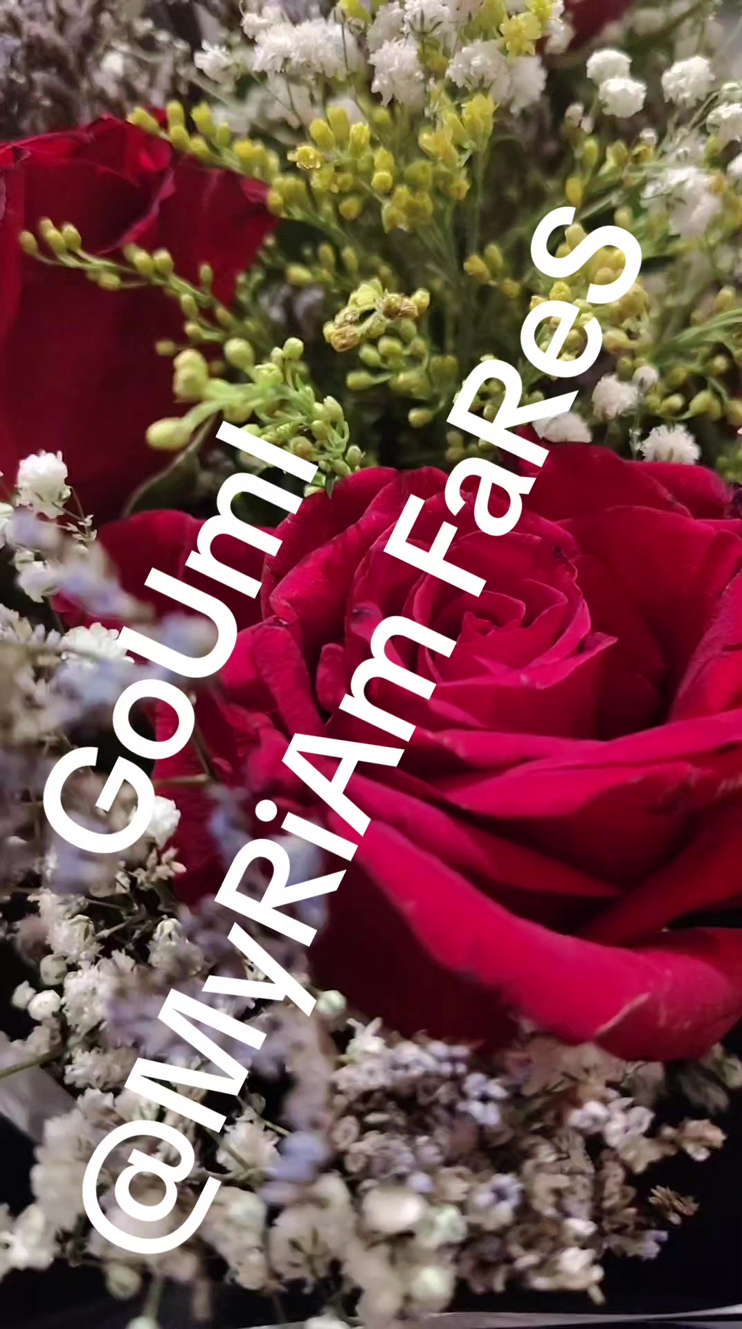 @said Ali 685