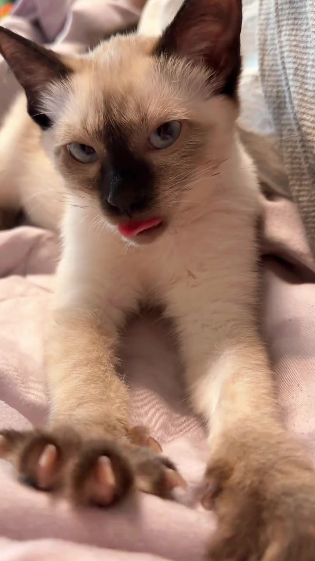 @Go mad