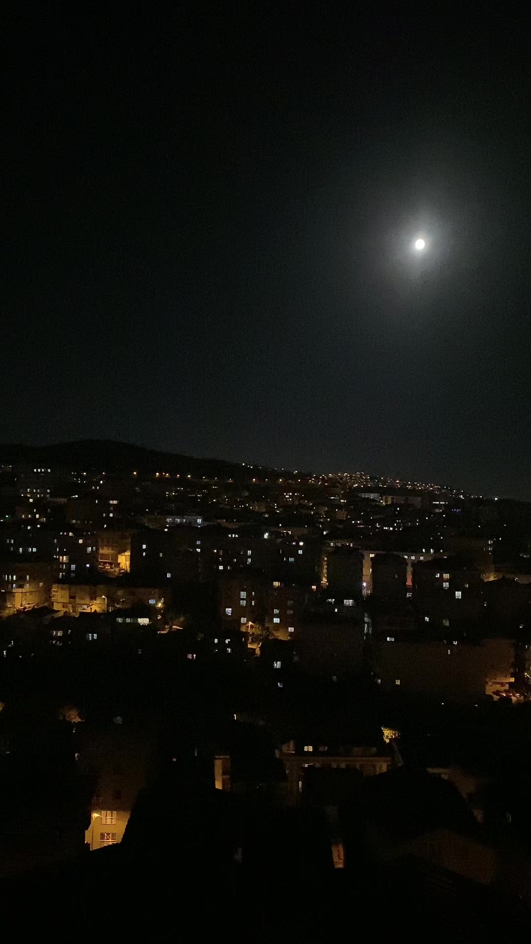 @Ayşegül Bozkurt