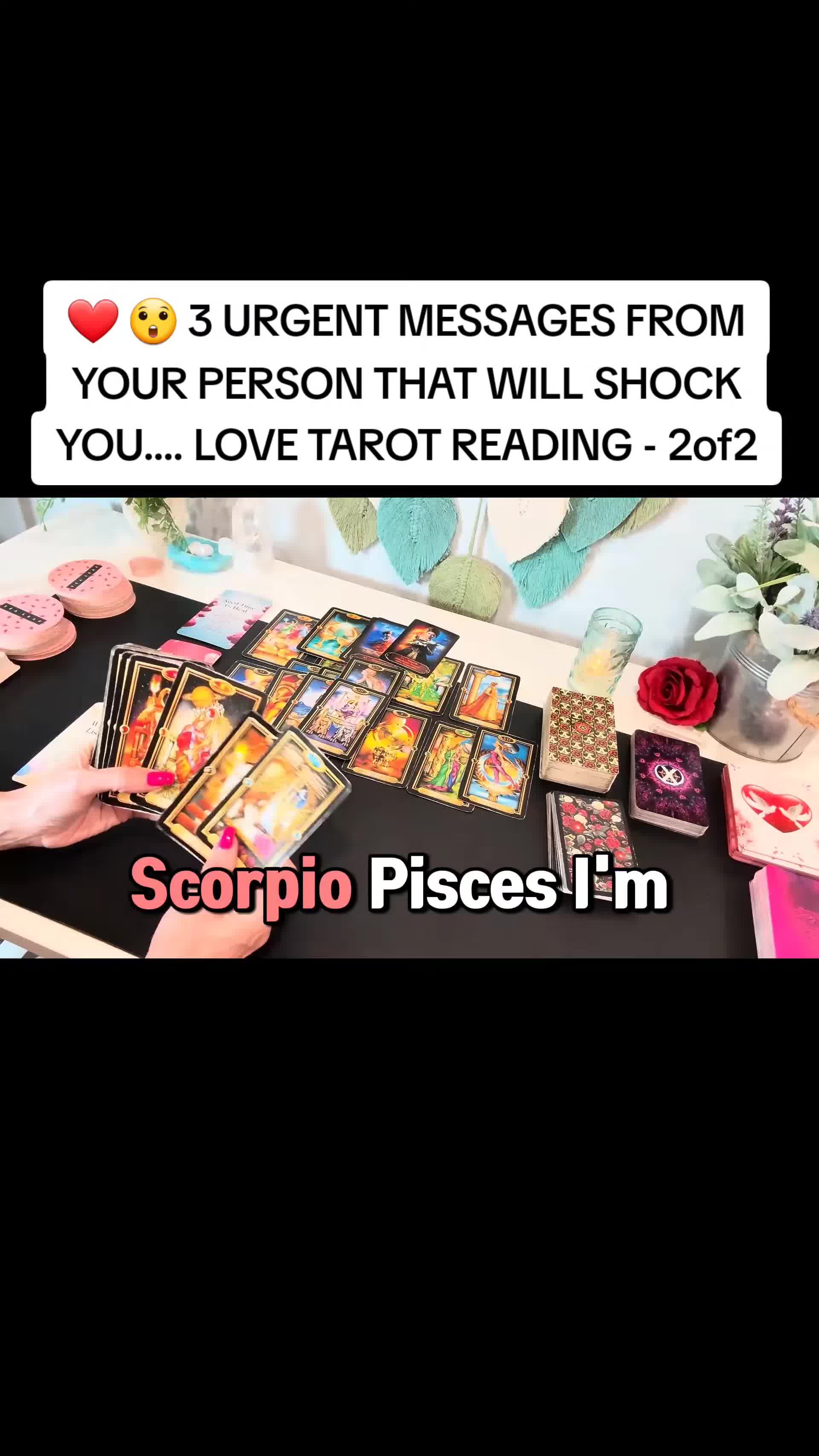@Jackie Chase Tarot