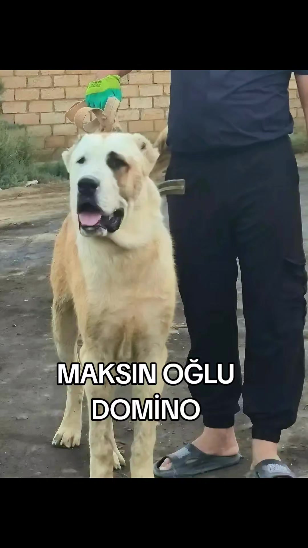 @Elşad__007