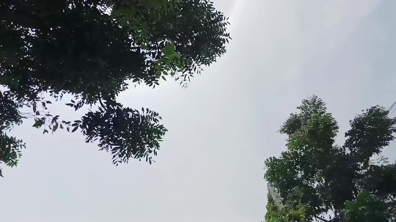 @MESUK