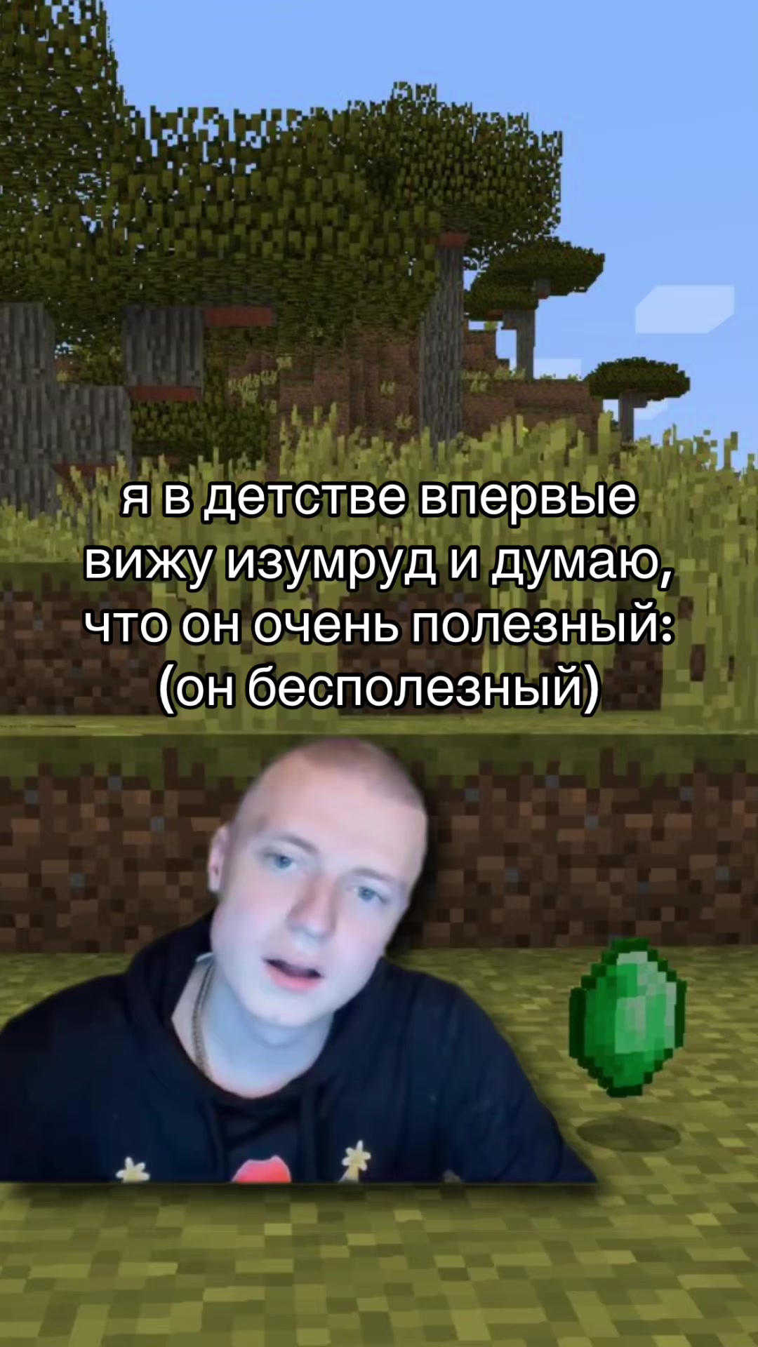 @майнкрафт мемы
