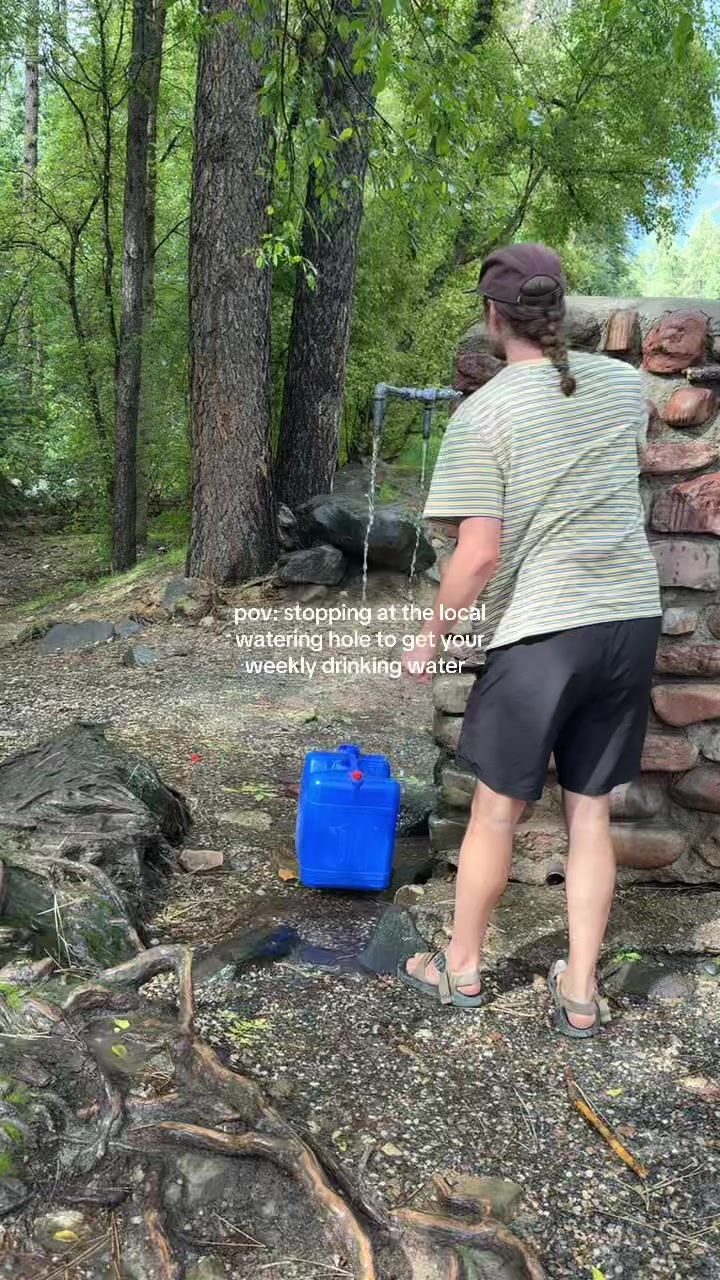 @Max🪻🌞🌲