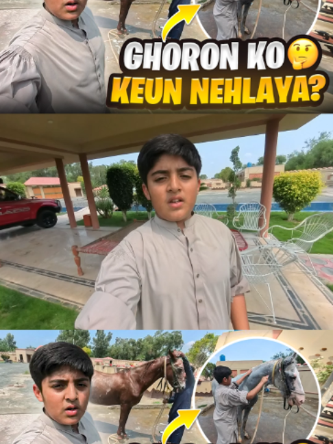@faisallalivlogs