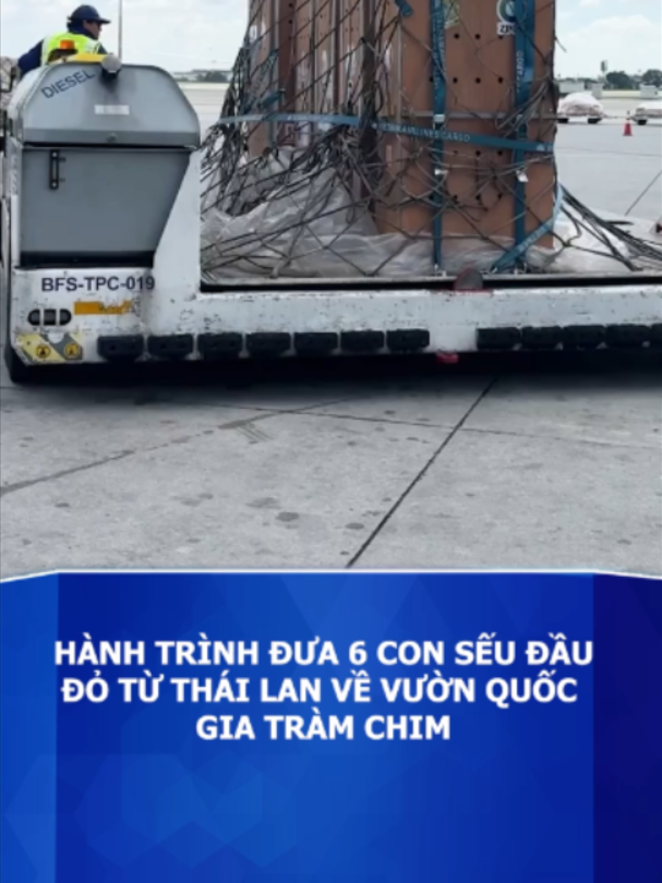 @Báo Tuổi Trẻ