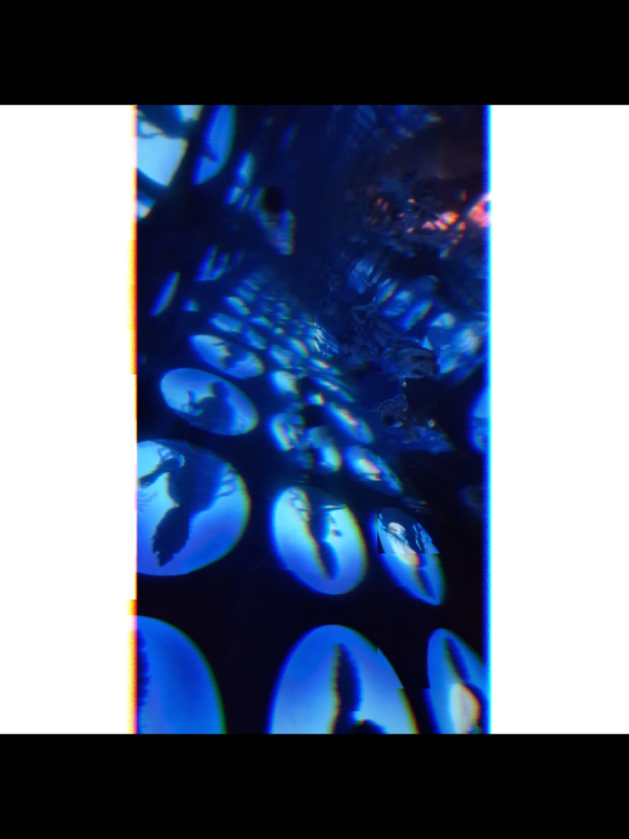 @臻😊