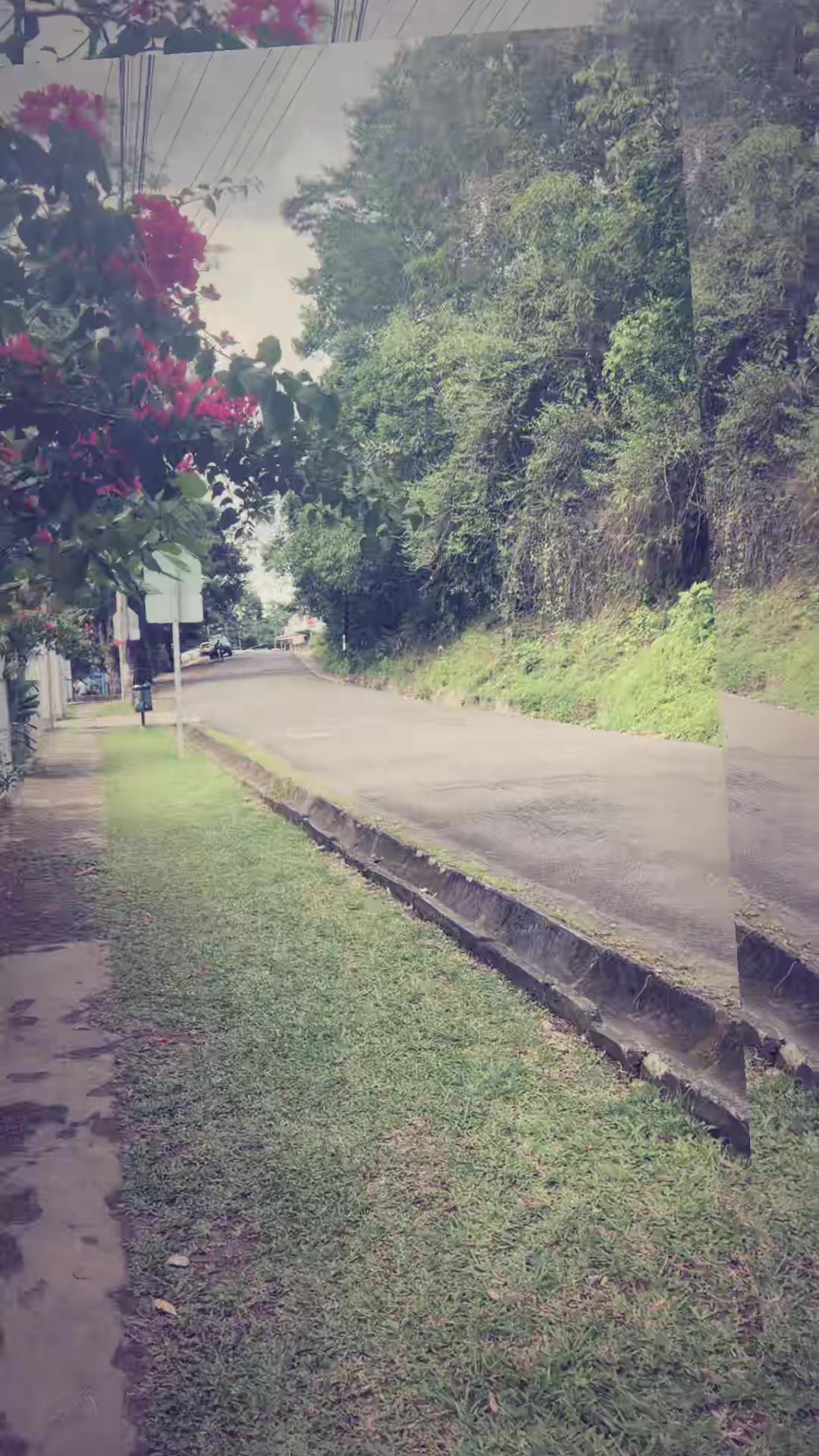 @Flor 🙏🫶🥰