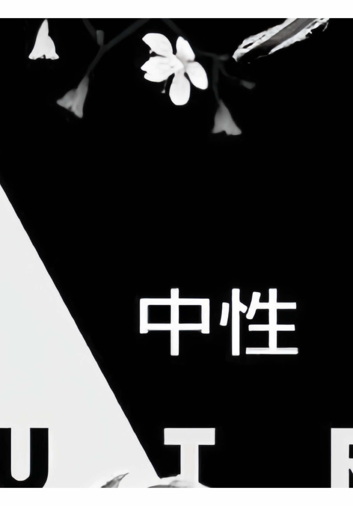 @๐ ๐ ๐
๐