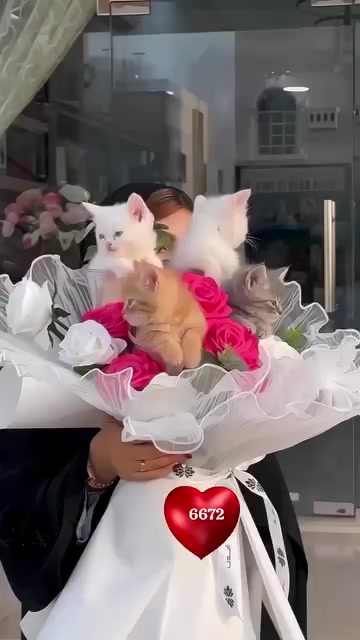 @Phạm Văn Thảo