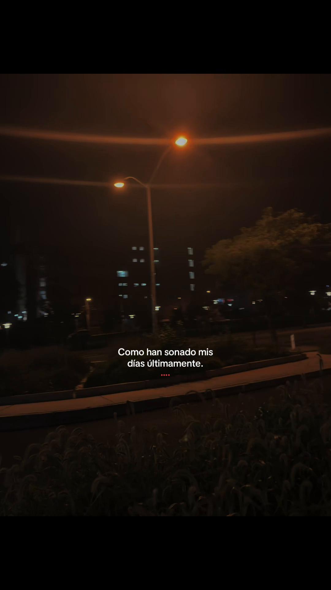 @🥀Willitto🪫