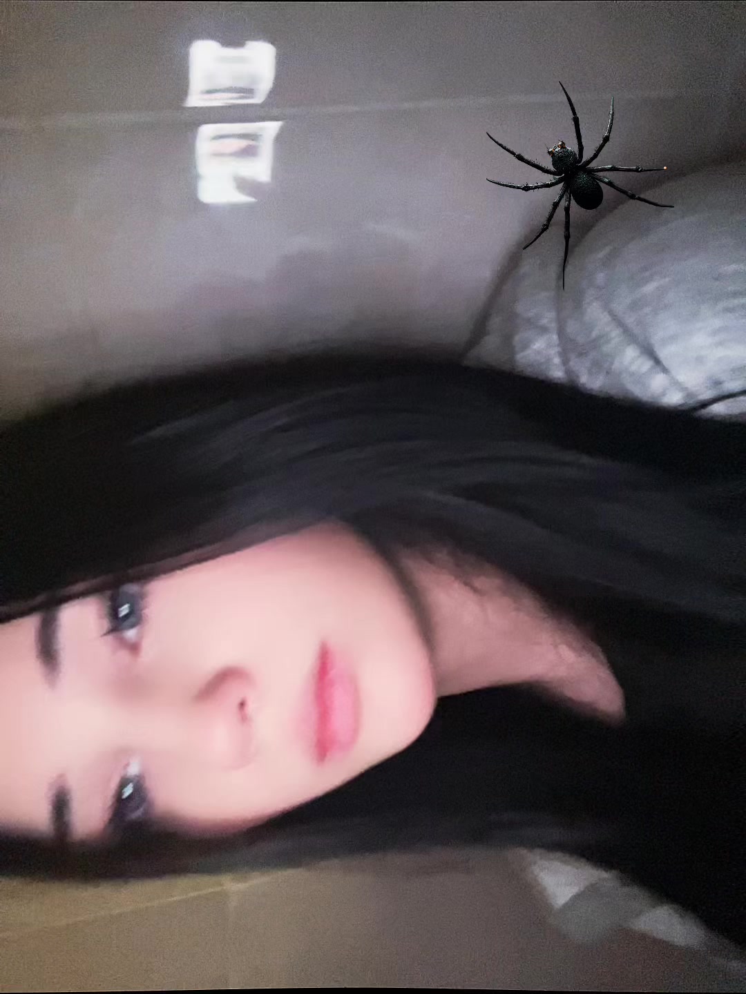 @livksi