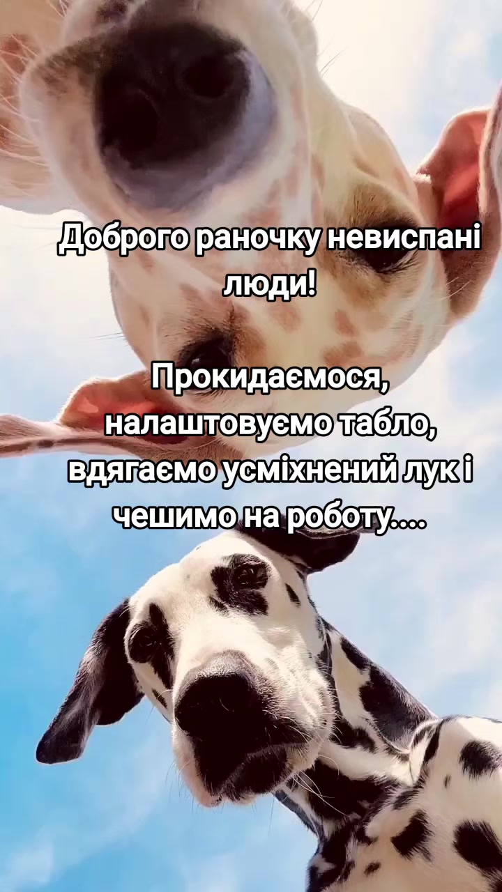 @🇺🇦Альона🥰🇺🇦