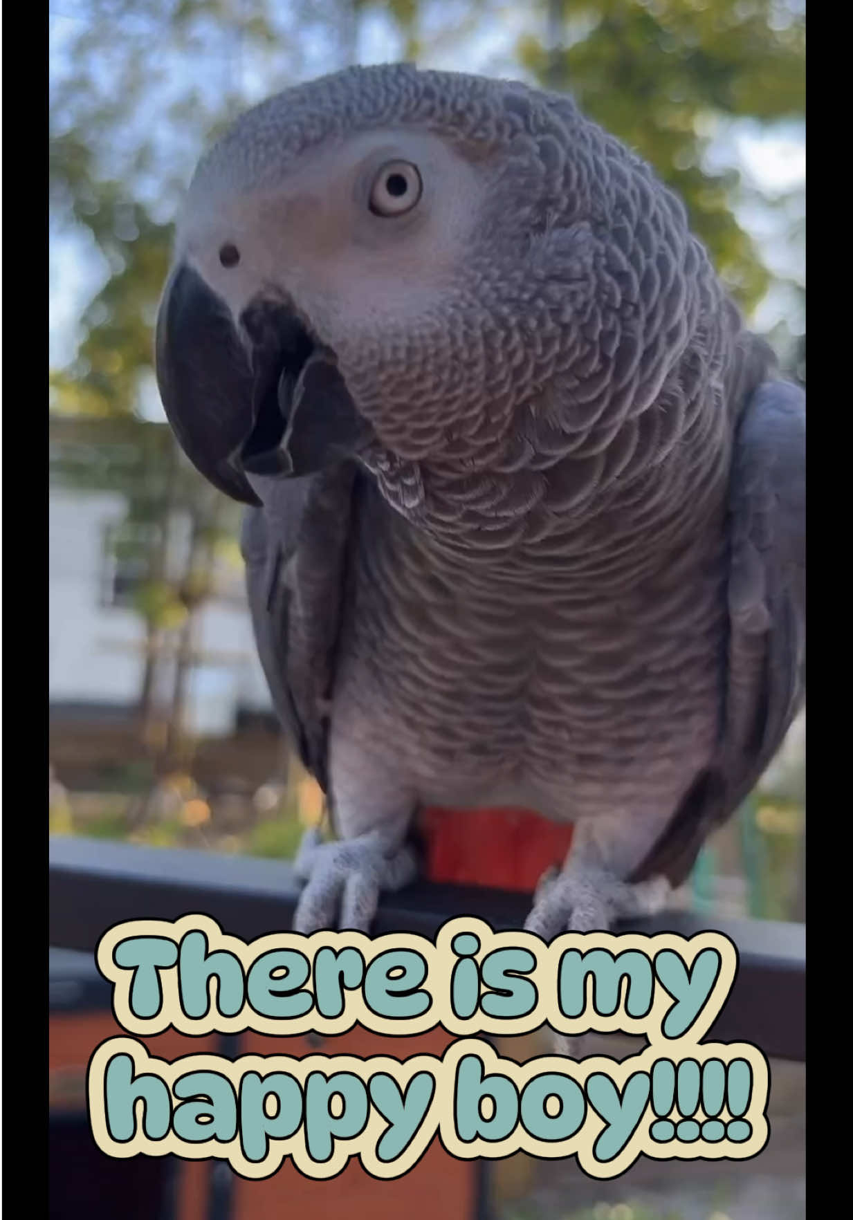 @thehinzoo