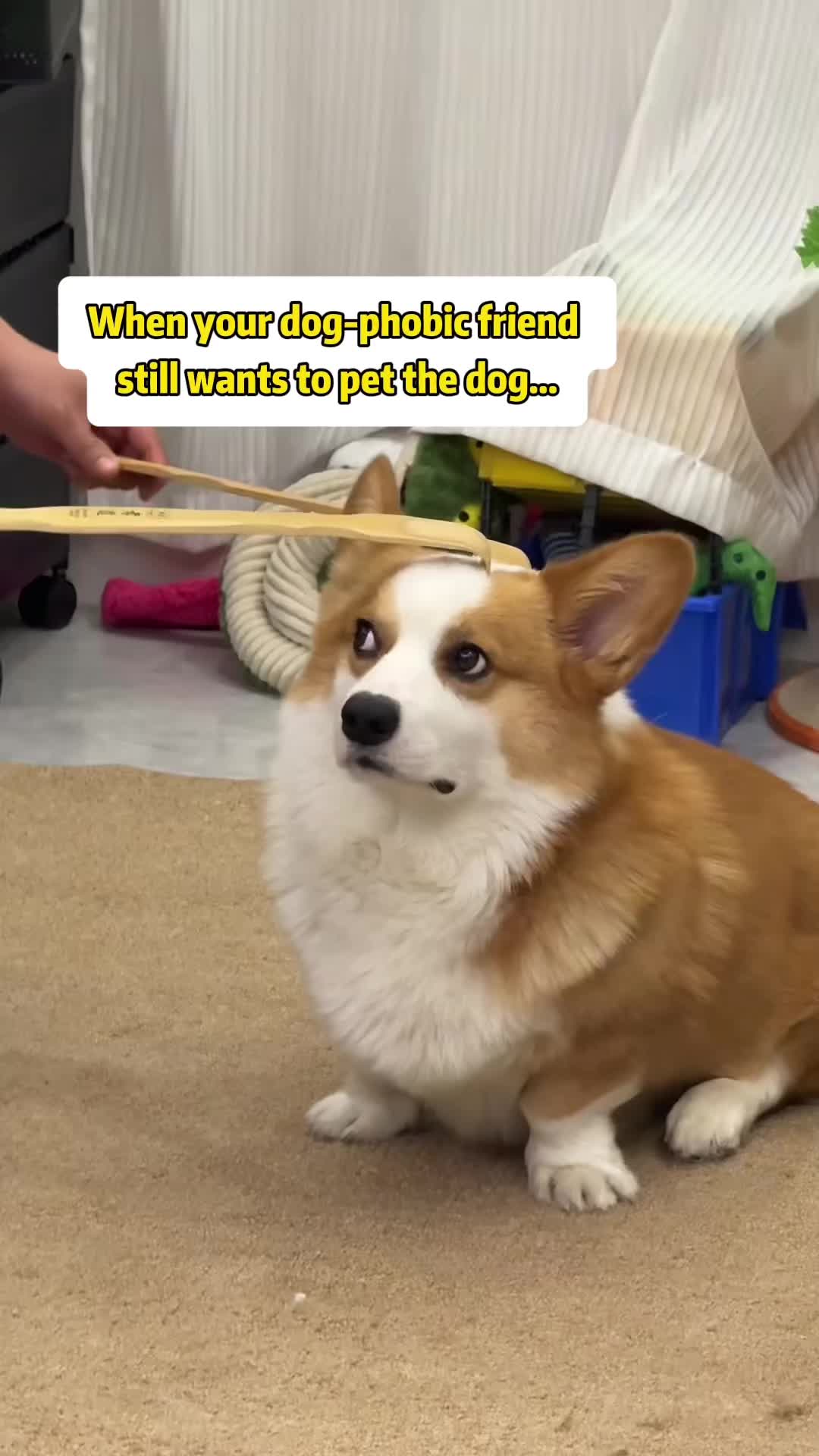 @MoewaiiCat