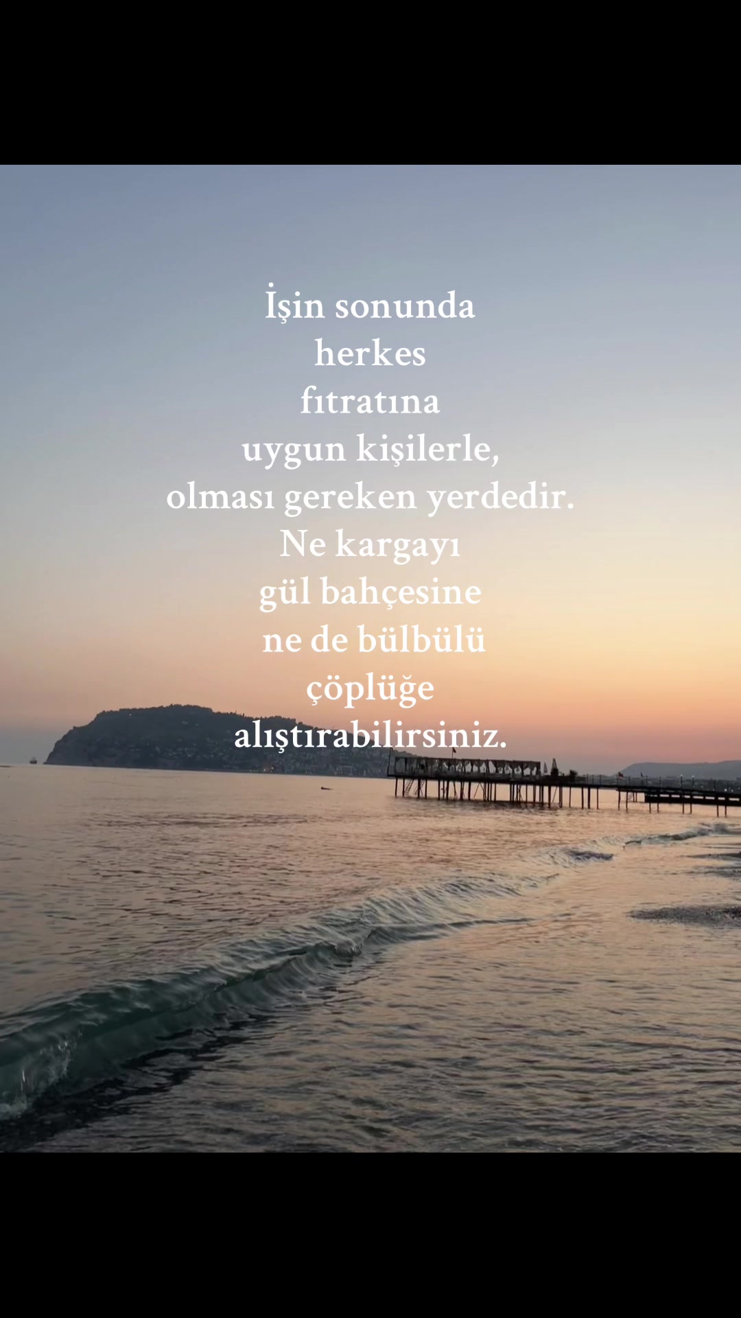 @Zeynep
