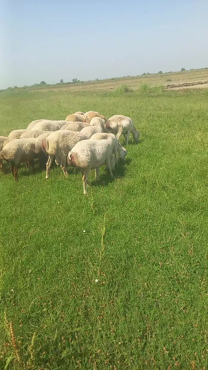 @Çöl.adamı