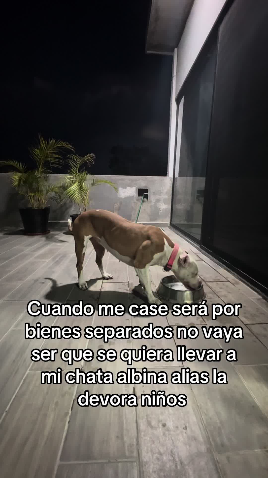 @Alberto Celis